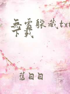 无处躲藏txt下载