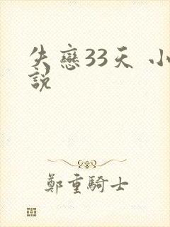 失恋33天 小说