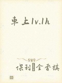 车上1v.1h