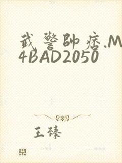武警帅痞.MP4BAD2050
