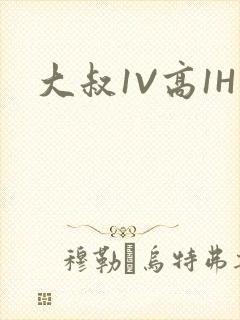 大叔1V高1H