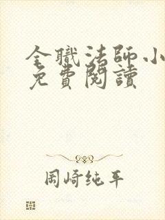 全职法师小说 免费阅读