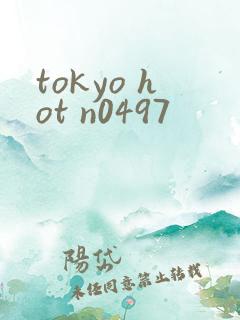 tokyo hot n0497