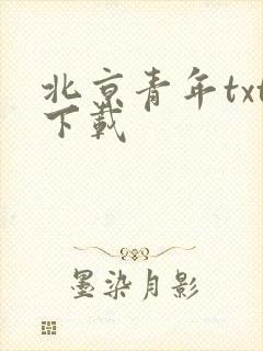 北京青年txt下载