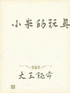 小米的玩具日记