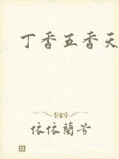 丁香五香天麻豆