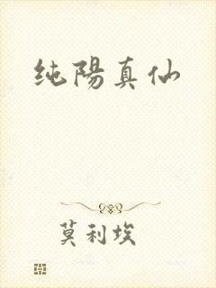 纯阳真仙
