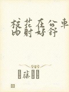 校花在公车上被内射好舒