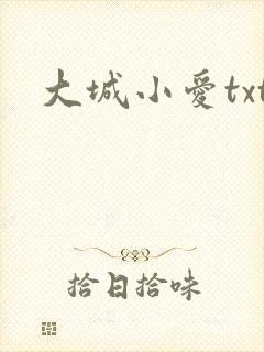 大城小爱txt