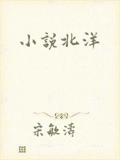 小说北洋