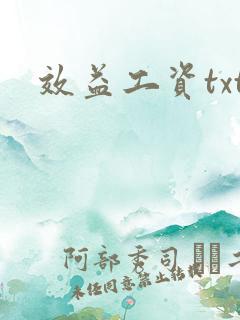 效益工资txt