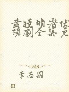 黄晓明潜伏者电视剧全集免费观看