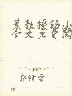 叶教授的小黏糖全文免费阅读