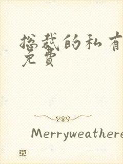 总裁的私有宝贝免费