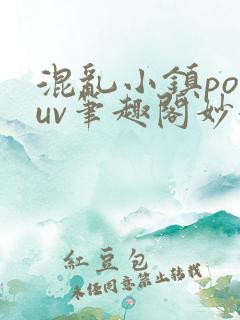 混乱小镇popuv笔趣阁妙妙