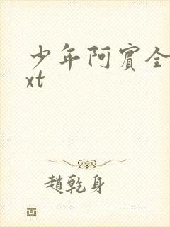 少年阿宾全集txt