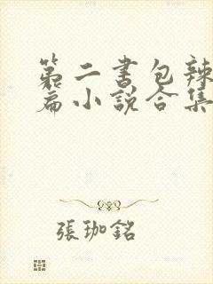 第二书包辣网短篇小说合集