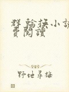 群 轮换小说免费阅读