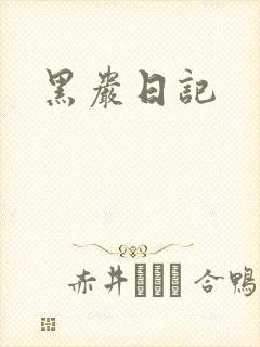黑岩日记