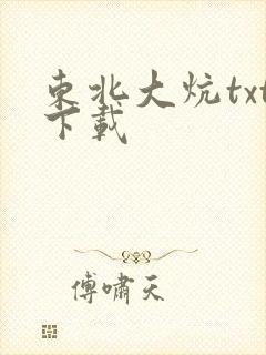 东北大炕txt下载
