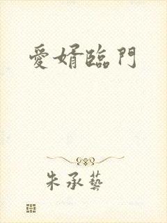 爱婿临门