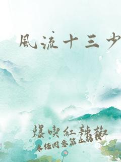 风流十三少