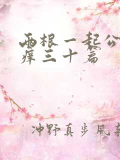 两根一起公憩止痒三十篇