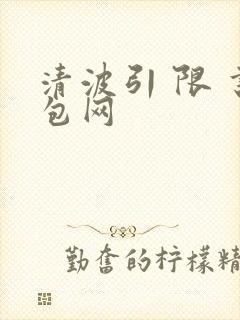 清波引 限 书包网