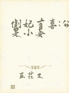 侧妃有喜:公主是小妾