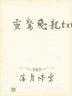 灵鹫飞龙txt