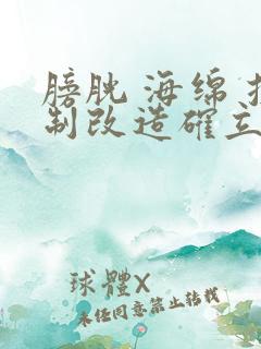 膀胱 海绵 控制改造确立m