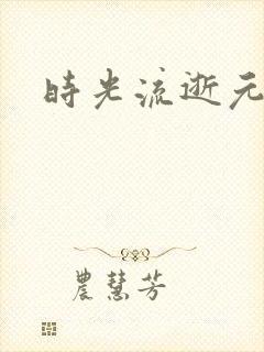 时光流逝元龙