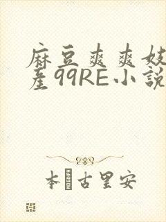 麻豆爽爽妓女国产99RE小说