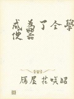 成为了全学校坐便器