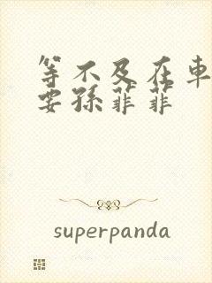 等不及在车里就要孙菲菲