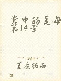 掌中的美母版主第14章