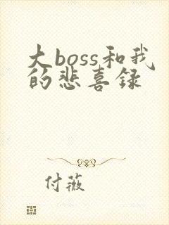大boss和我的悲喜录