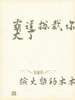 霸道总裁你的太大了