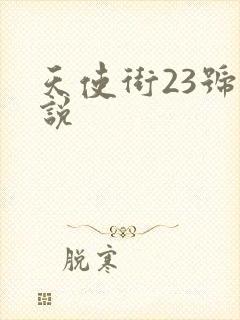天使街23号小说