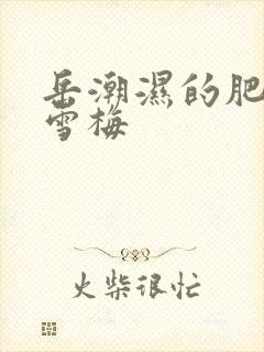 岳潮湿的肥厚李雪梅