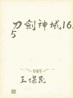 刀剑神域16.5