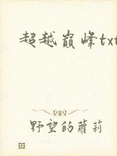 超越巅峰txt
