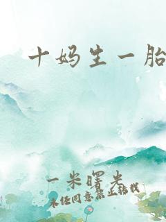 十妈生一胎
