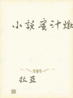 小说蜜汁炖鱿鱼