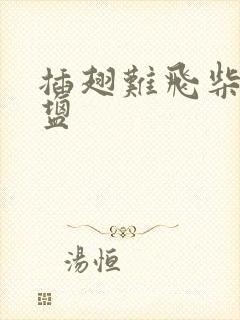 插翅难飞柴米油盐