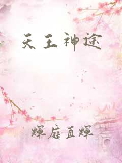 天王神途