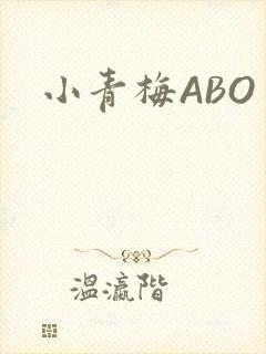 小青梅ABO