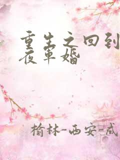 重生之回到新婚夜军婚