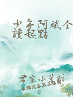少年阿斌全文阅读起点