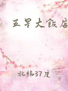 五星大饭店小说